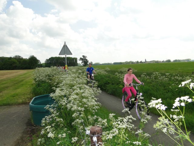 HWK 2012 269.jpg